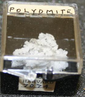 Polydymite