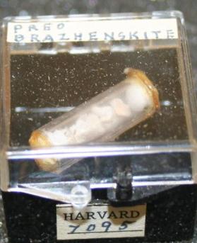 Preobrazhenskite