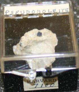 Pseudoboleite
