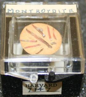Montroydite