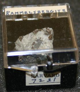 Rammelsbergite