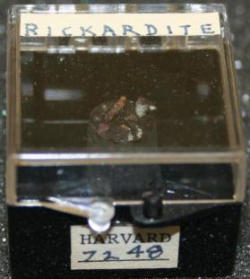 Rickardite
