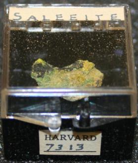 Saleeite