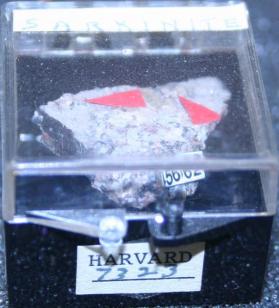 Sarkinite