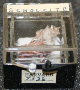 Scholzite