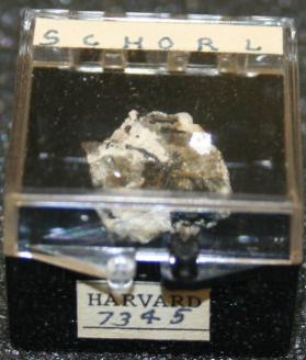 SCHORL