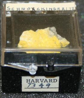 Schröckingerite