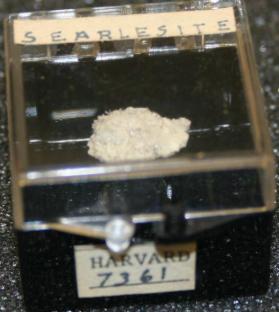 Searlesite