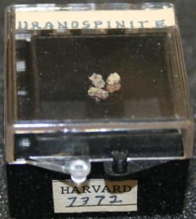 Uranospinite