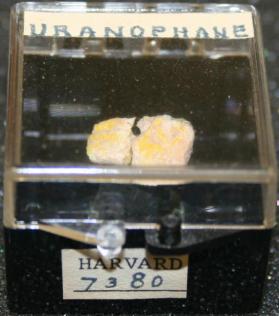 Uranophane