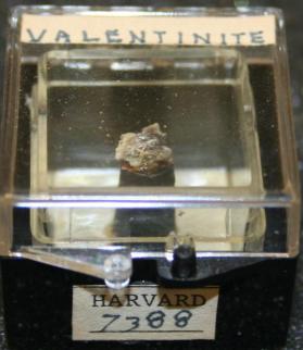 Valentinite
