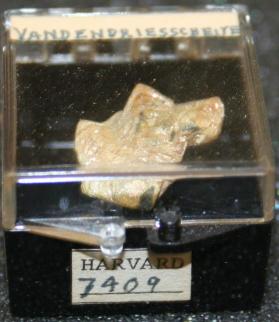 Vandendriesscheite