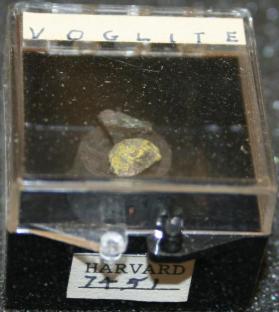 Voglite