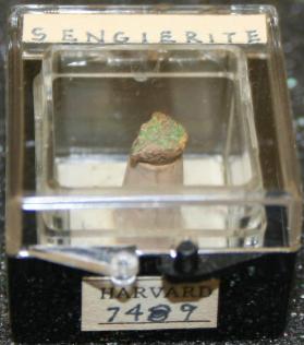 Sengierite