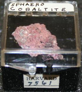 Sphaerocobaltite
