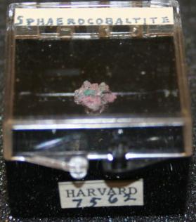 Sphaerocobaltite