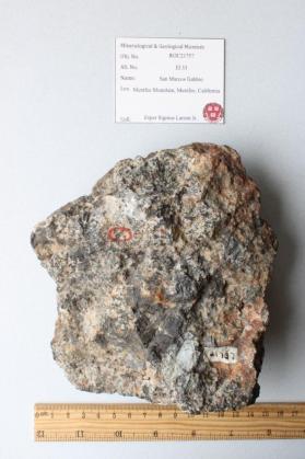 San Marcos Gabbro with Coarse Hornblende