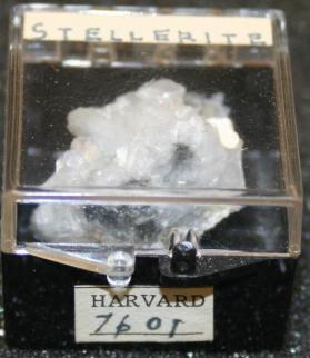 Stellerite