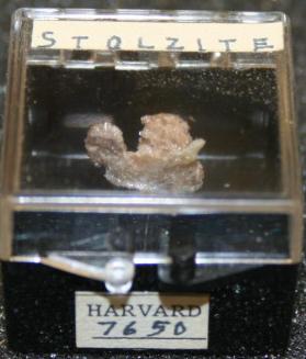 Stolzite