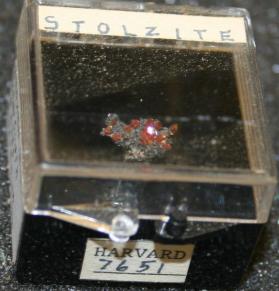 Stolzite