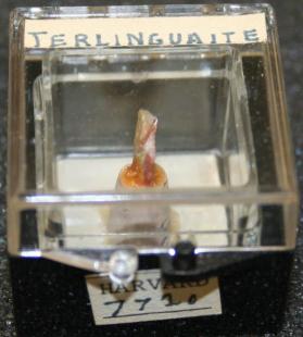 Terlinguaite