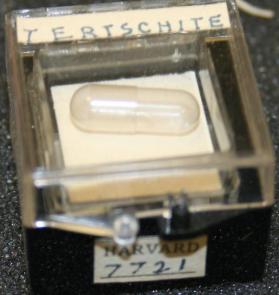 Tertschite