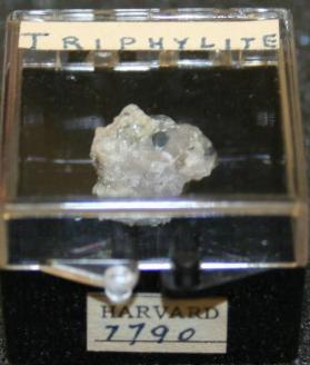 Triphylite