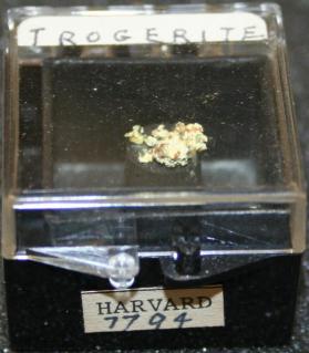 Trögerite