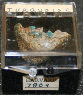 Turquoise