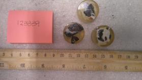 Bornite