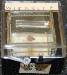 Wiserite