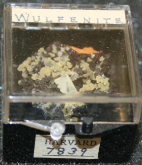 Wulfenite