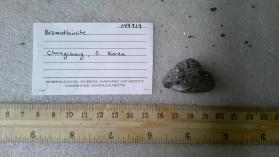 Bismuthinite