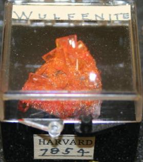 Wulfenite