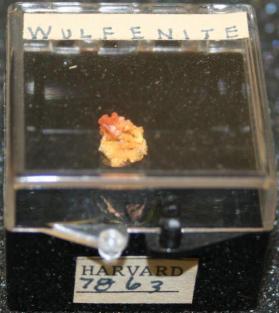 Wulfenite