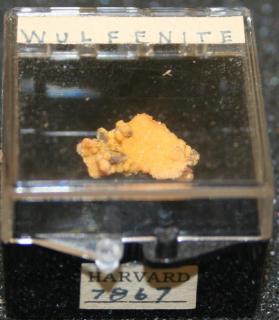 Wulfenite