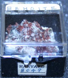 Behoite