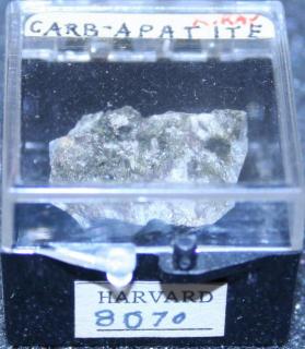 carbonate-apatite
