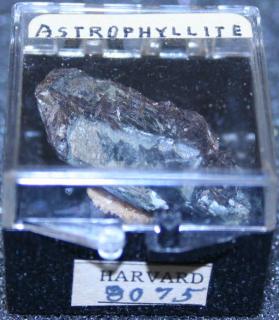 Astrophyllite