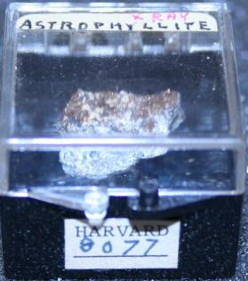 Astrophyllite