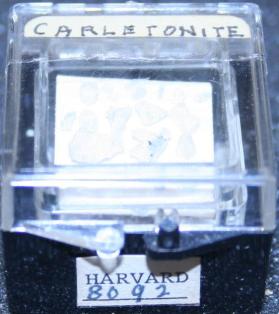 Carletonite