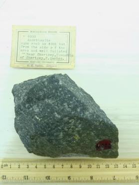 Anorthosite