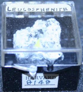 Leucosphenite