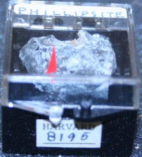 Phillipsite