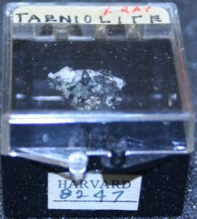 Taeniolite