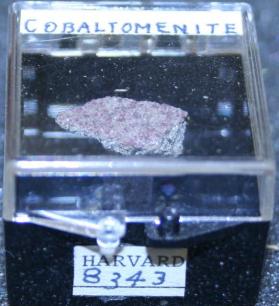 Cobaltomenite