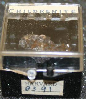 Childrenite