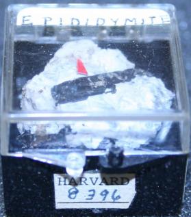 Epididymite