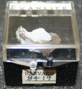 Evansite