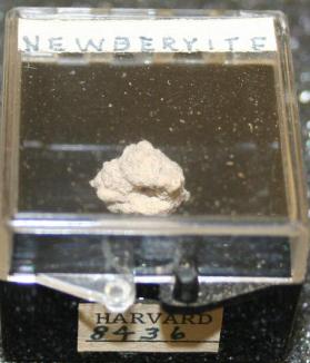 Newberyite